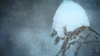 Harold Budd - Color - Winter Quiet II