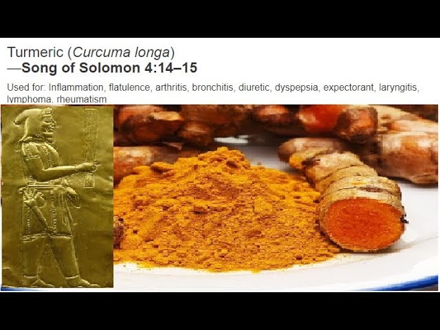 270 YEARS OLD? ANCIENT HERBAL SECRET MEDICINE OF OUR ROYAL FAMILY THAT PROLONGED THEIR LIFE SPAN? 270 YEARS OLD? ANCIENT HERBAL SECRET MEDICINE OF OUR ROYAL FAMILY THAT PROLONGED THEIR LIFE SPAN?