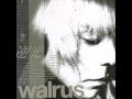 逆光 / walrus