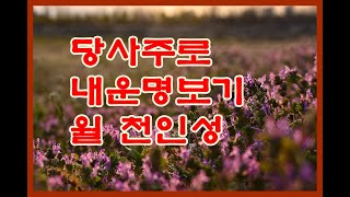 당사주로 내운명보기 월천인성 (띠와 음력생월기준/쥐10월/소9월/호랑이8월/토끼7월/용6월/뱀5월/말4월/양…