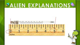 2nd Grade - Math - Measuring Length - Question Feedback - 135025