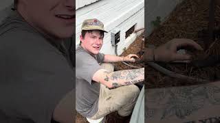 Name brand or HARBOR FREIGHT?? #airconditioning #hvac #hvacinstall #electrical #electrician