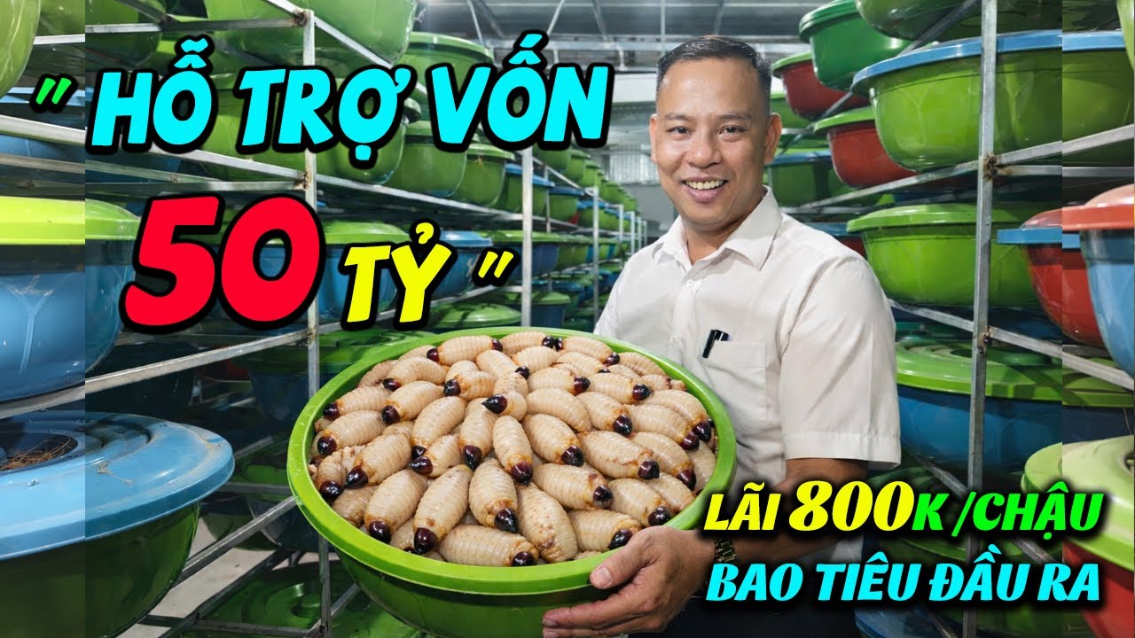 Chấn Động 2026: Chủ Trại Chi 50 TỶ Hỗ Trợ Bà Con Nuôi Con 