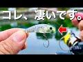 管理釣り場初心者でも超簡単にボトム攻略できる爆釣ルアーはこれ!! エリアトラウトin川場フィッシングプラザ