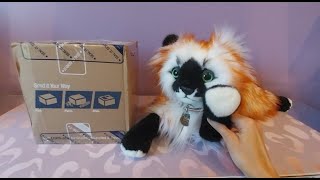 Unboxing Sedona the Cashmere Bengal Cat Plush Handmade by Frazetta Toys!! 😻😻😻