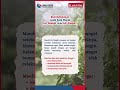 Kehujanan di Musim Hujan? Ketahui Mana yang Lebih Baik, Air Hangat atau Air Dingin