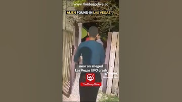 Alien Found in Las Vegas?