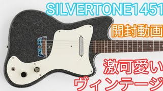 ⭐*♪様 【動画】Silver tone ビンテージ ギター セミアコ 62年製 Unboxing] This Vintage SILVERTONE 1451 is Insanely Cute - YouTube