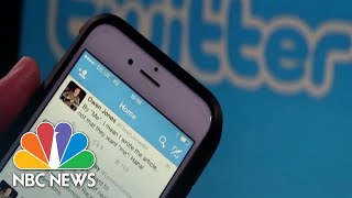 Twitter bots advertising guns to users tweet using trigger terms