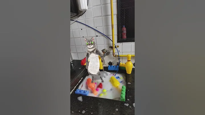 Watch the video about Cat enjoying in 💦🌊😺Tom and jerry twist reel #cat #crazily #trending #funny #sphynx #meow #billi #cat