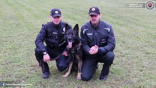Pes  verný priateľ a pomocník policajtov
