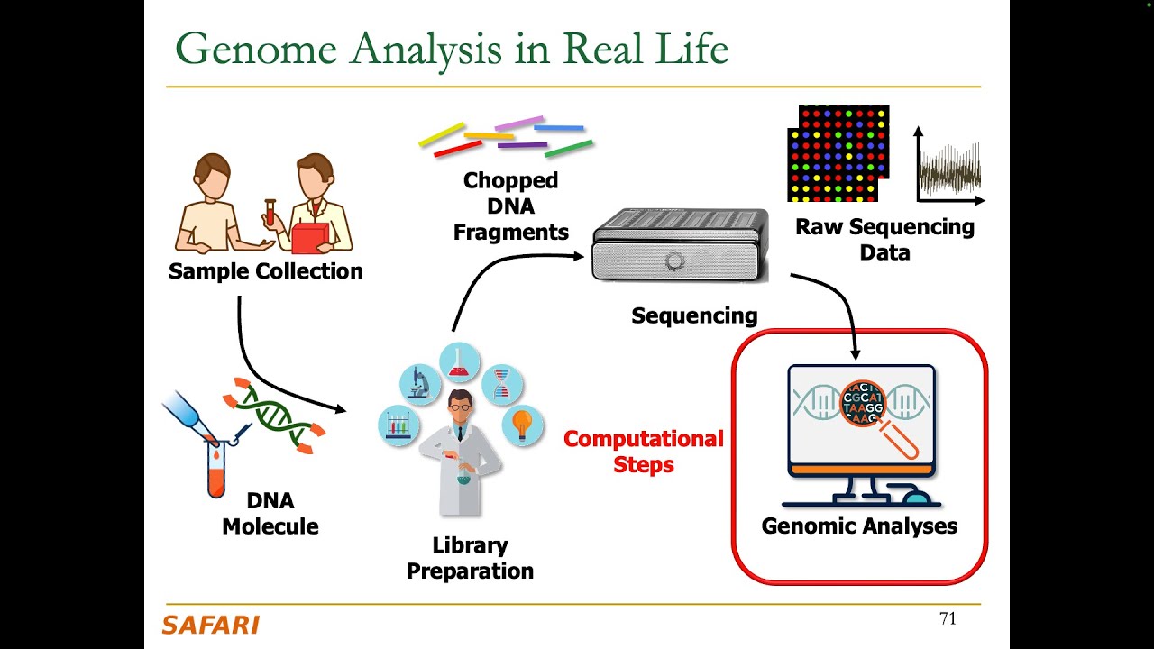 Computer Architecture - Lecture 14: Genome Analysis (Fall 2024) - YouTube