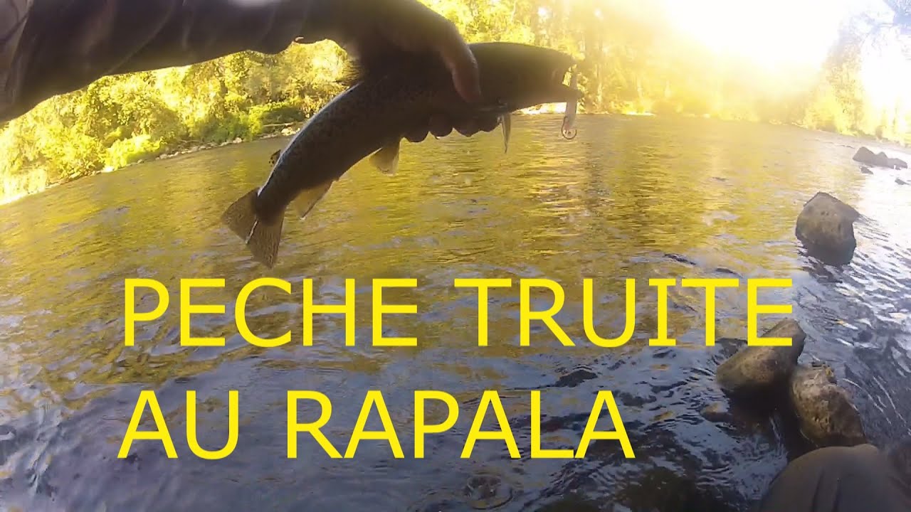 Ensemble De Leurres Rapala Countdown Pour Truite - 5 Cm Et 7 Cm - Pêche Rivière/lac