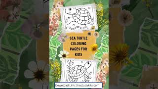 Sea Turtle Coloring Pages for Kids   Ocean Adventure Sea Turtle Coloring Fun