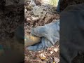 Mezarda Çıkan Define!!!