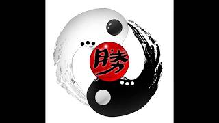 戰鬥機蒙皮傻於頭彩繪復古安全帽-勝宥勝