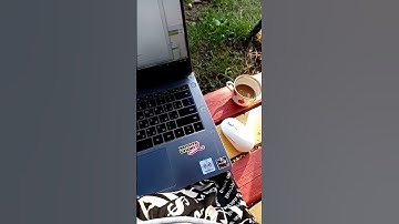 типичная жизнь программиста