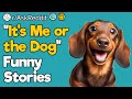 &quot;It&#39;s Me or the Dog&quot; Funny Stories