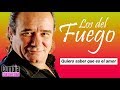 Los Del Fuego Quiero Saber Lo Que Es El Amor mp3