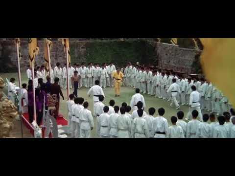 Download Enter the dragon (1973)  : Bruce lee last fight scene