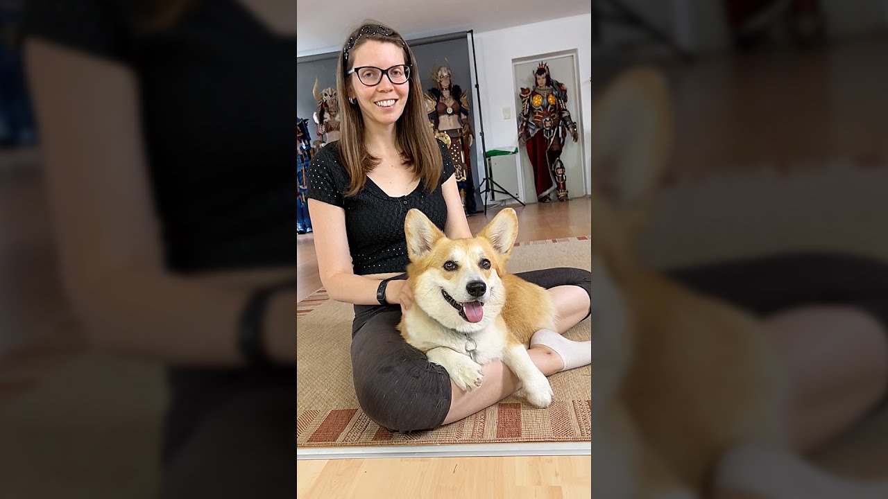 Being a dog mom ain't easy! 🥲 #corgi #pets