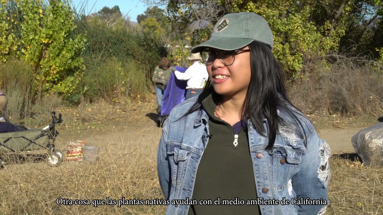 Monthly Habitat Restoration Days in Los Angeles with Friends of the LA River 🍃