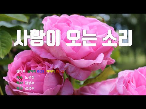 [은성 반주기] 사랑이오는소리 - 노은정
