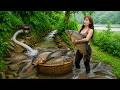 Harvest Fish Technique - Brave Country Girl Catches Giant Carp with Bare Hands!