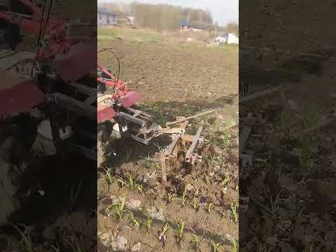 вариант рыхления и