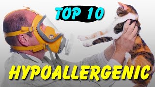 Top 10 Hypoallergenic Cats For People With Allergies