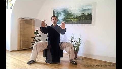 Wudang Wuxing Qigong Tutorial