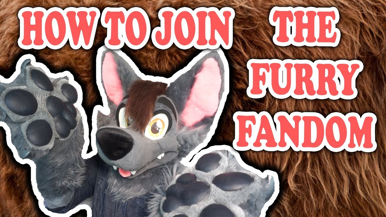 How to Present Furry Fandom to the Media How to Present Furry Fandom to the Media new images How to Present Furry Fandom to the Media How to Present Furry Fandom to the Media new photo