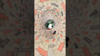 360video ground Short #youtube #trending #360video