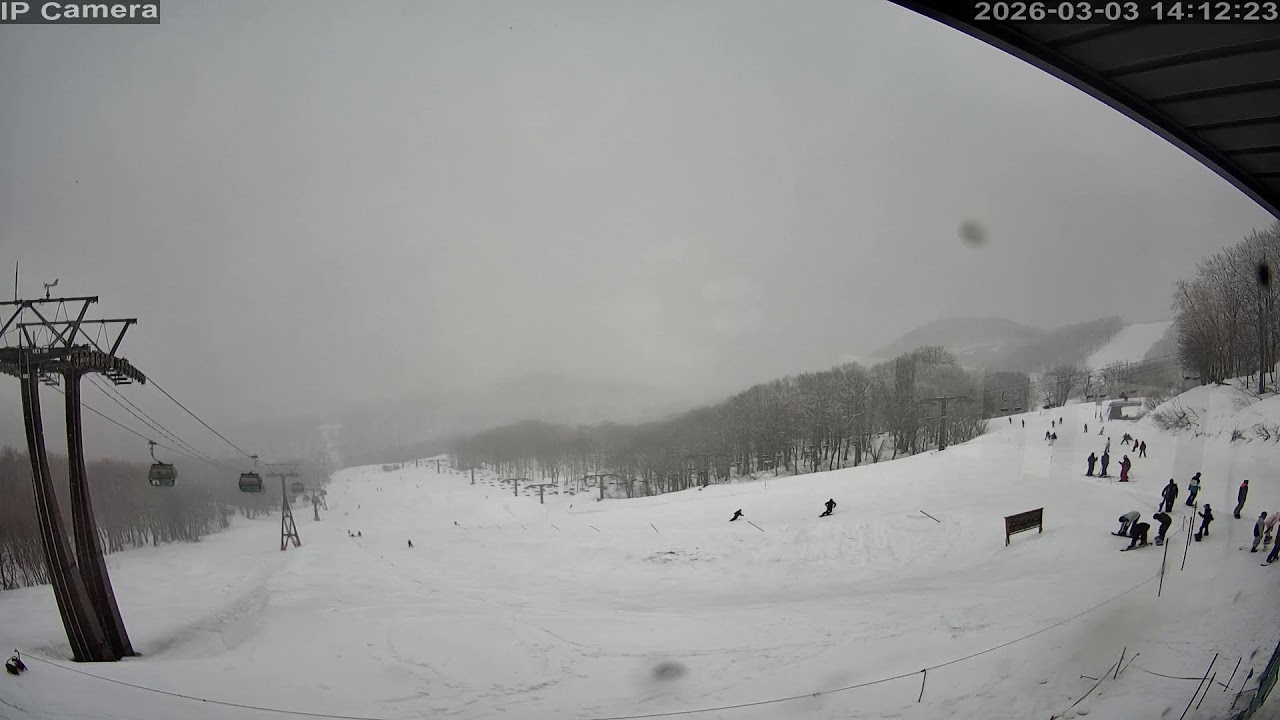 Camera Hakuba47 - 2026-03-03 14:02
