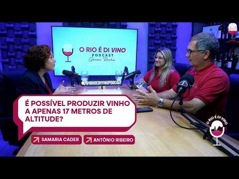 Itaguaí, nova fronteira do vinho: pesquisa, pioneirismo e território