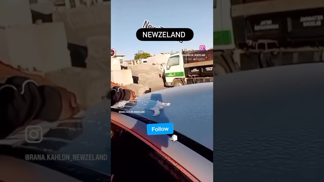 ਸੋਹਣਾ Newzealand 🇳🇿🇳🇿#youtubeshorts #viralvideo #punjabivlogger #travelvlog #trending