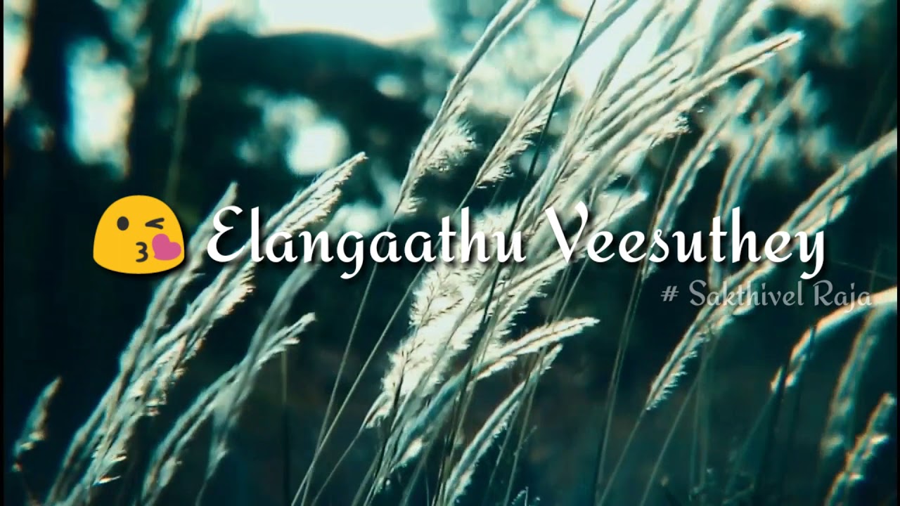 Elangaathu Veesuthey whatsapp status tamil / Sakthivel