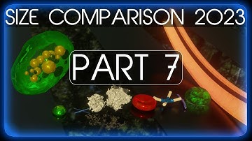 ABSOLUTE Size Comparison 2023 (Part 7) 4K 60FPS 3D