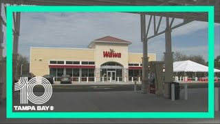 Famous Wawa is looking to hire 2,000 Florida workers Profile