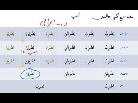 Arabic Grammar 018 Nawasib e Mazar'a نواصب مضارع