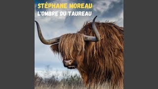 Video thumbnail of "Stephane Moreau - Danse"