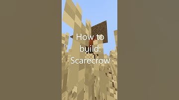How to build: Scarecrow #shorts