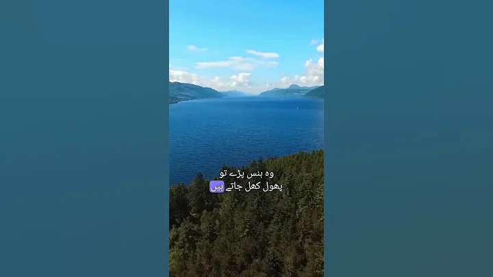 "Hazrat Ali (RA) Ki Dosri Shadi | Ajmal Raza Qadri Emotional Bayan | #shorts" #nooretareekh