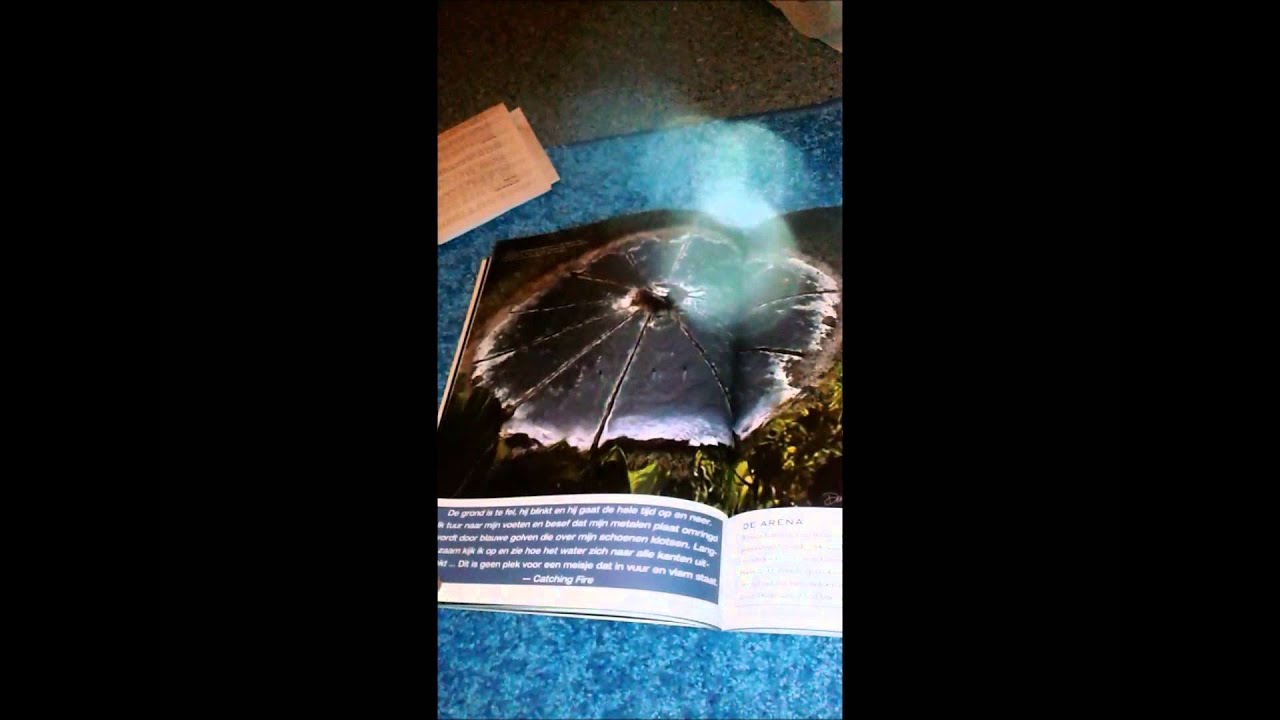 Catching Fire: The Official Illustrated Movie Companion by ...