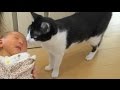 猫は二人目の赤ちゃんに遭遇した！ Cat meets 2nd Baby for the first time.