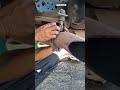 vital components that hold the exhaust pipe #mechaniclife #installation #asembly