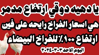 اسعار الفراخ البيضاء اليوم سعر الفراخ البيضاء اليوم الاحد ٣-٣-٢٠٢٤ في المحلات في مصر