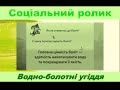 Всесвітній день водно-болотних угідь