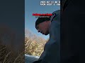 Trooper Was Standing at a Crash Scene Then a Durango Blew the Sign... 😳 #bodycam