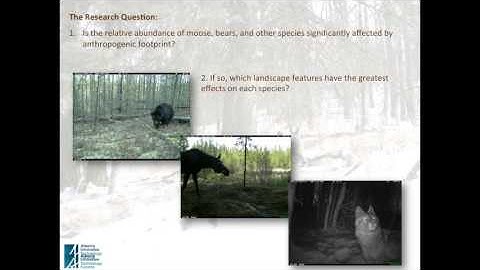 Jason Fisher - Moose and Predator Numerical Response to Anthropogenic Features